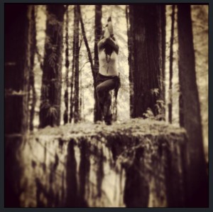 Magda Freedom Rod in Eagle pose atop an 8' high ancient redwood tree stump