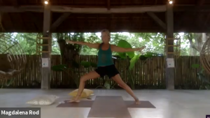 Hatha Yoga 3