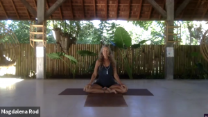 Hatha Yoga 2 – Solar Plexus