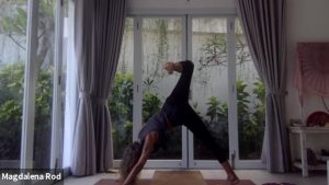 Hatha Yoga 5